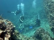 Koh Haa Diving