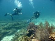 Scuba Skills Refresh on Koh Lanta with Dive & Relax